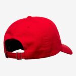 GORRA QUIKSILVER DECADES COTTON SALSA | Mechanic