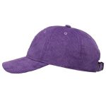 GORRA ELEMENT ICON DAD CORDUROY GENTIAN VIOLET | Mechanic